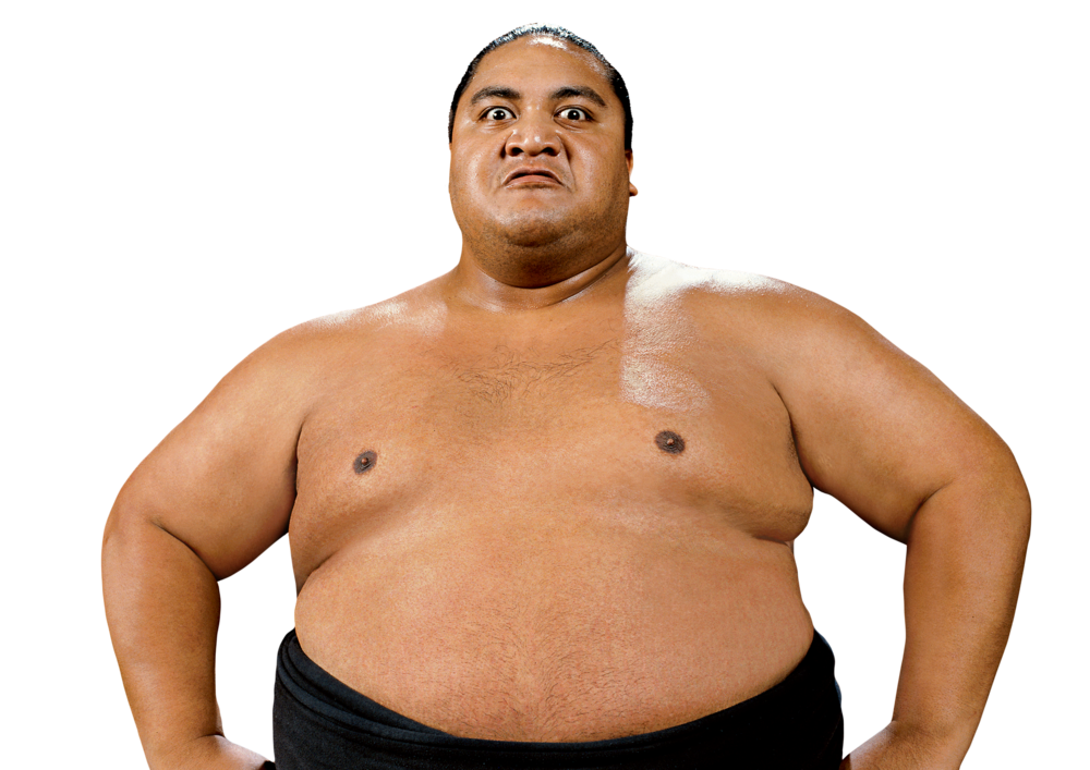 Yokozuna_pro