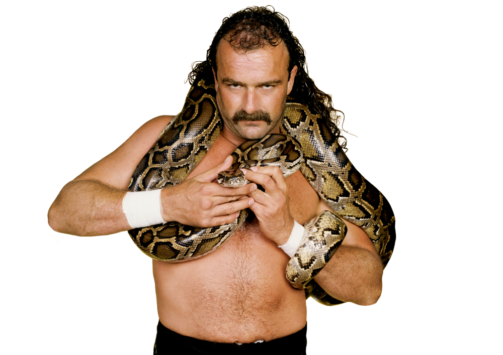 Jake “The Snake” Roberts